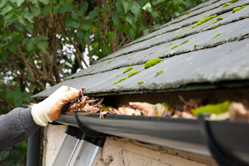 gutter-cleaning.jpg